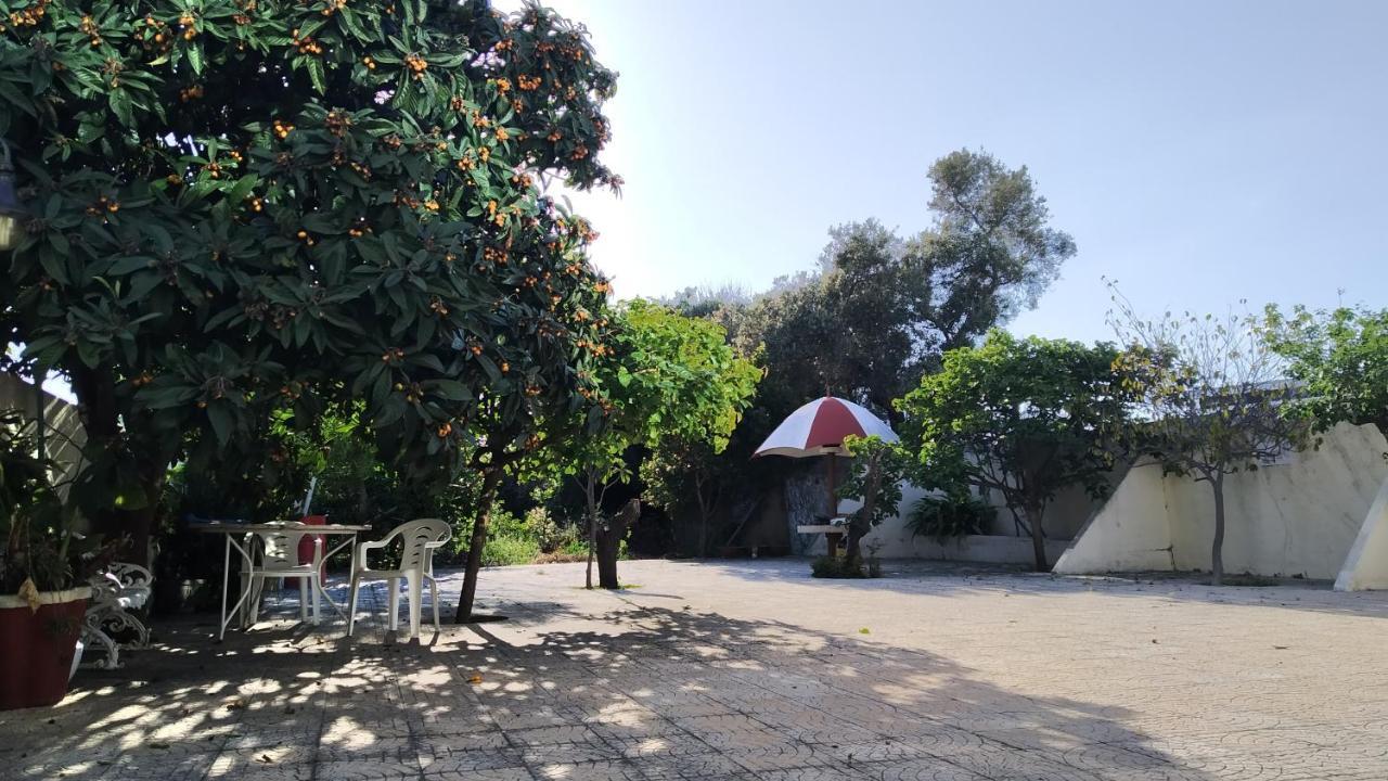 Forever Sao Bras São Brás de Alportel Dış mekan fotoğraf